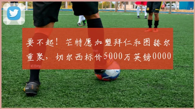 要不起！芒特愿加盟拜仁和图赫尔重聚，切尔西标价5000万英镑0000644