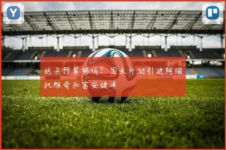 这点预算够吗？国米计划引进阿瑙托维奇和富安健洋