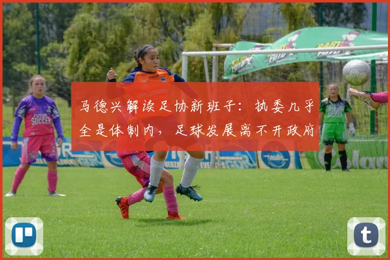 马德兴解读足协新班子：执委几乎全是体制内，足球发展离不开政府
