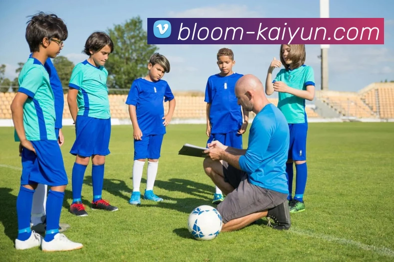 开云平台生态图